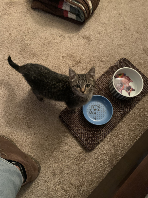 7D0958B1-A22E-4A73-8BA5-66F0F4F79FF1