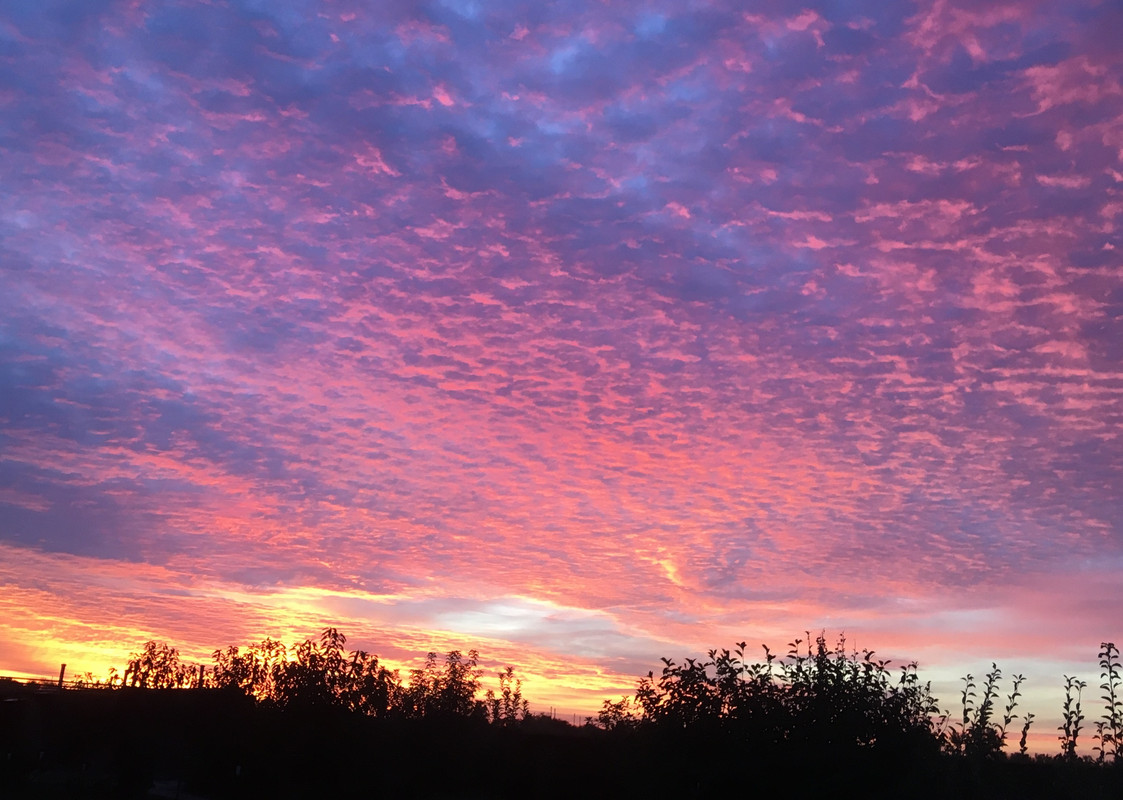 Восход, 2022 г., 27 сентября, 6 утра