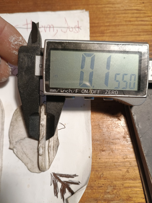 IMG_20240828_074352093