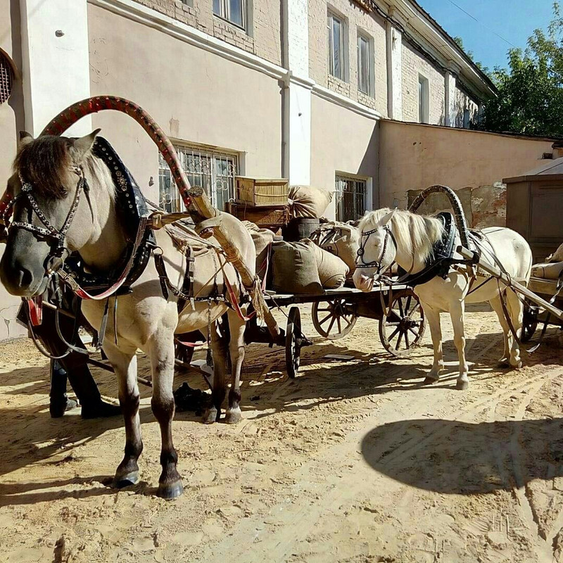 9AA2D979-B77D-4E62-BB55-BD3311098B1F