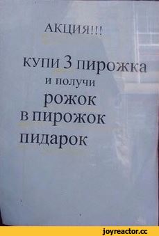 гифки-котэ-кукуруза-2773341