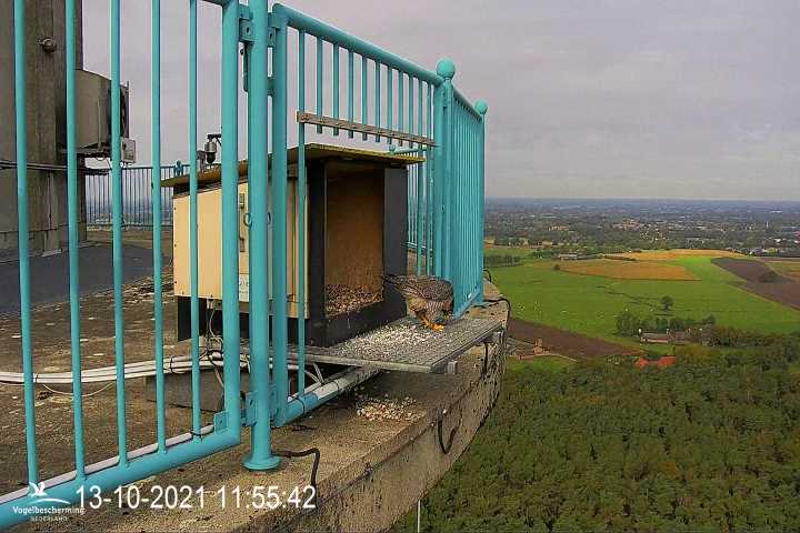 campics vanaf 1 juli © VWGGemert en bonusjes van ter plekke - Pagina 35 V3