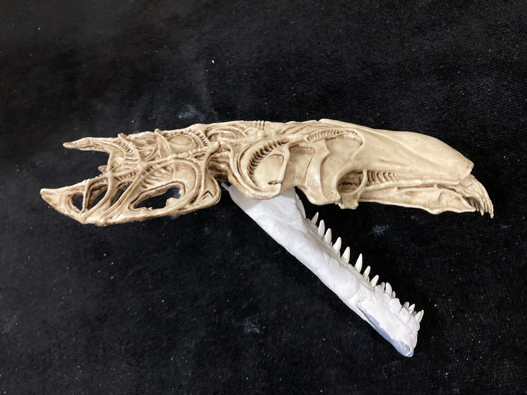 BBB9FE2F-F713-436B-A4EC-D1AFEB2C9A6E