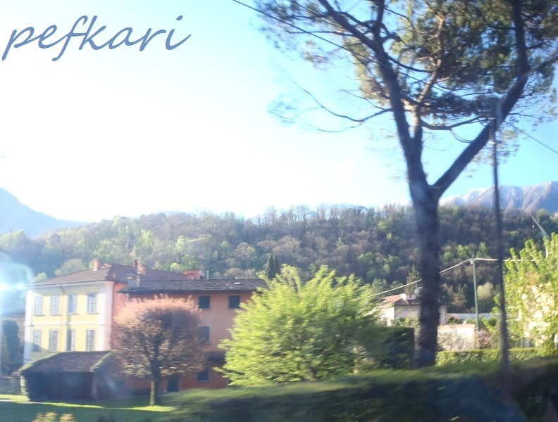 Slika