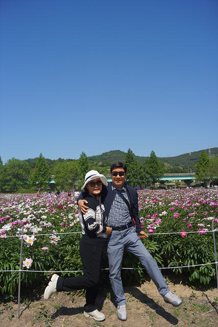 DSC06500