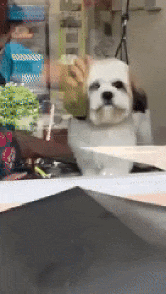 Da-Mnb5t.gif