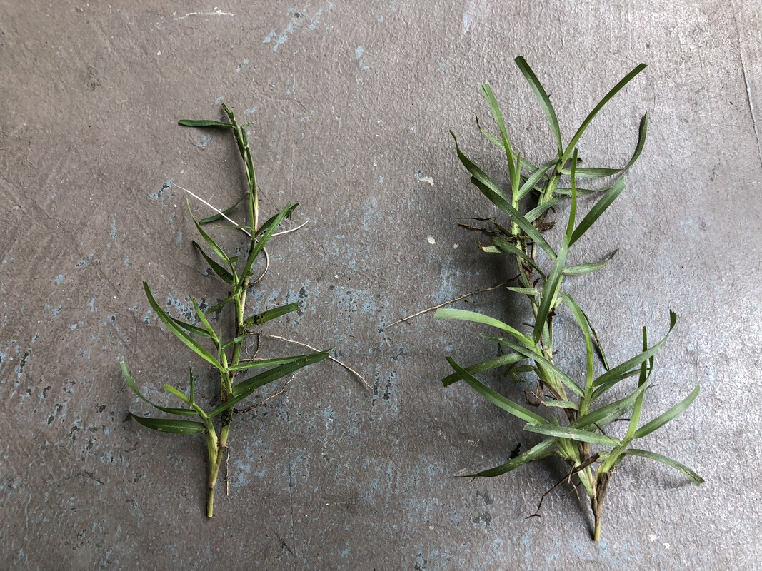 5D9CBB58-92A6-40B8-828D-E3A50F53161E