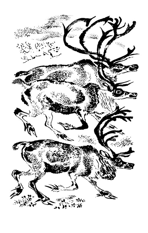 1993-page-0080