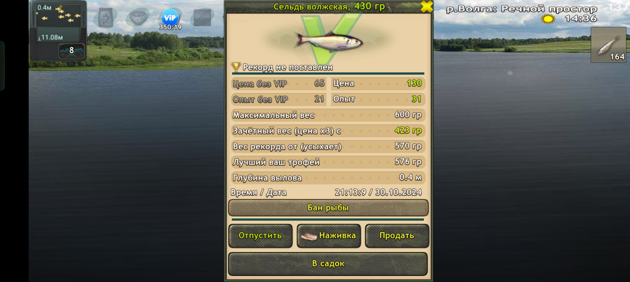 Screenshot-2024-10-30-21-13-14-37-fa28ee