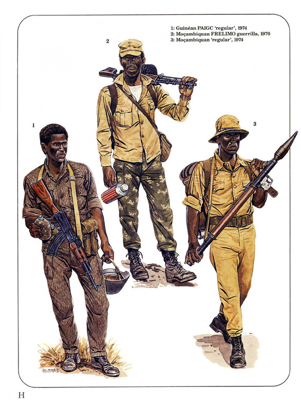 202 - Modern African War (2) Angola & Mocambique 1961-74_Página_33