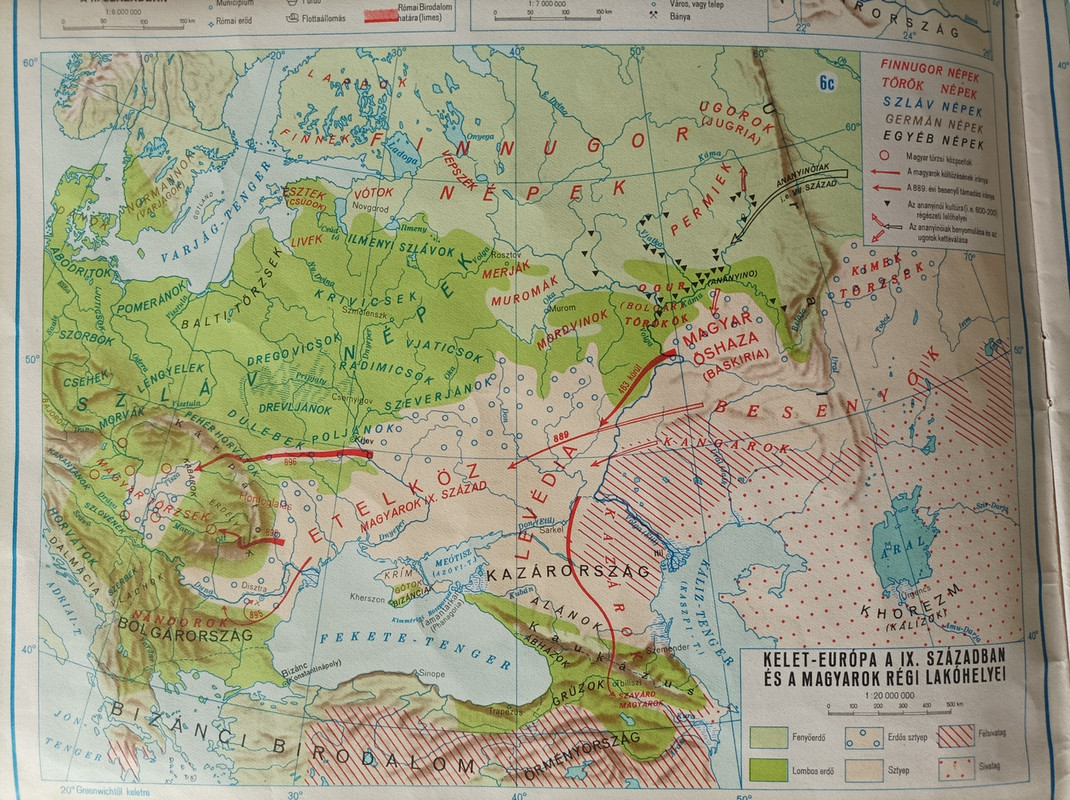 42-Magyar-shaza.jpg