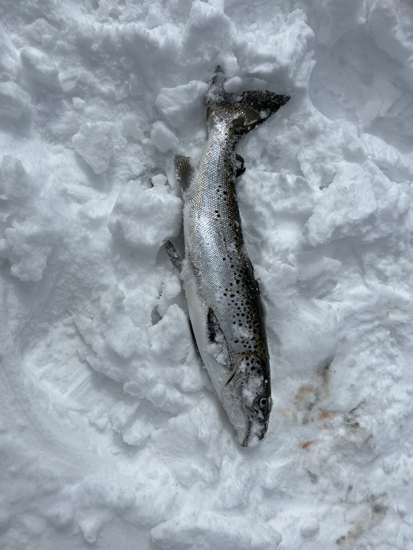 253955FC-162F-47C8-985E-020ECD864741