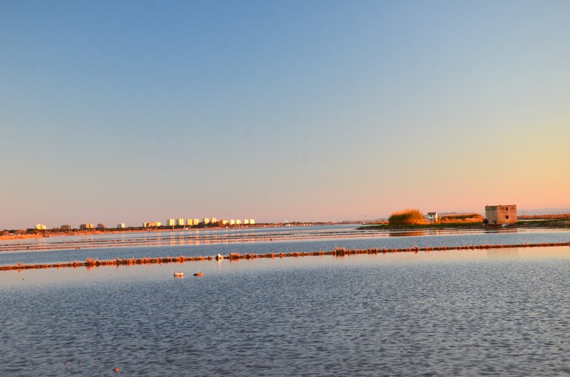 Valencia y sus pueblos-2005/2024 - Blogs de España - Parque Natural de La Albufera-21-12-2024 (7)