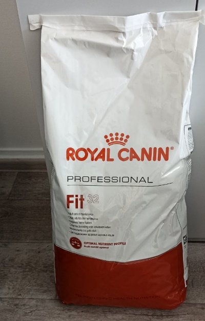 ������ ������ ��� ��������