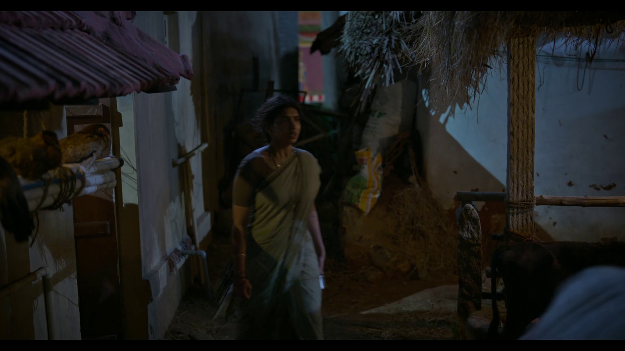 vlcsnap-2025-04-24-21h22m59s636