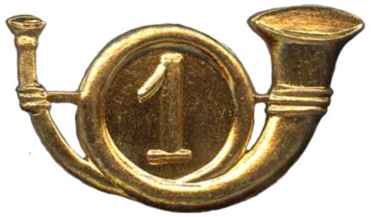 Кокарда 1-го егерьского полка Королевских ВС Бел