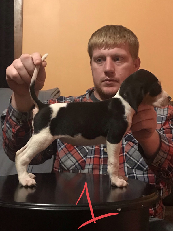 73069852-B54A-4D75-A1A6-0B692BB528D8