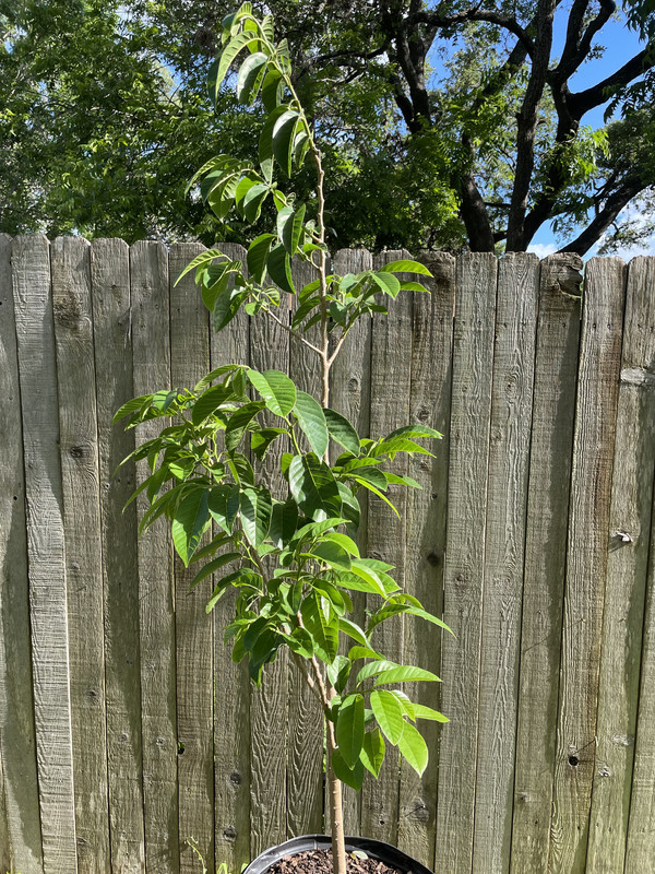 77C7B69D-DB95-42E5-8EC6-1DB4A25BE646