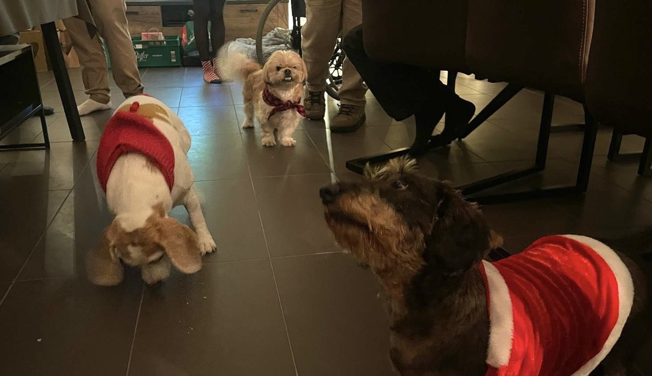 [Image: 5899efe1-65cd-48a6-8f38-71d3c3d61980.jpg]