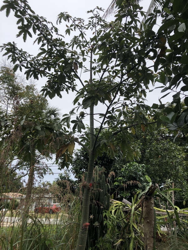 CFCC6C3B-7853-438C-9DEA-E131343FC0EF