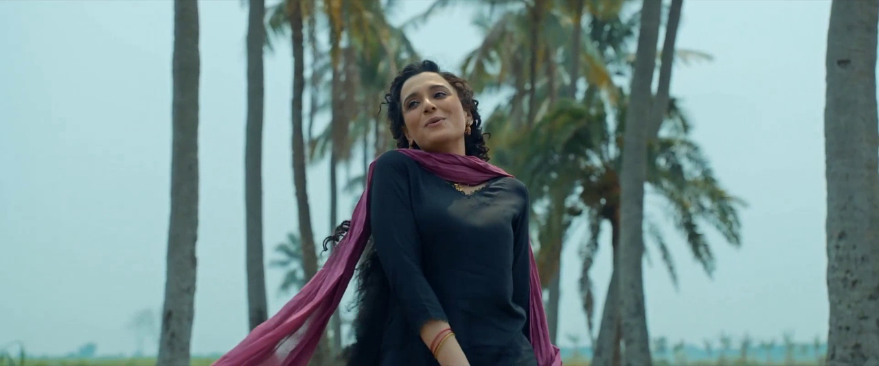 vlcsnap-2025-08-11-17h44m09s877