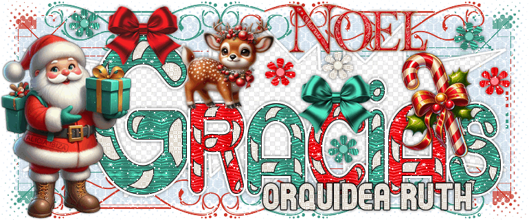 Gracias Santa Claus orquidearuth