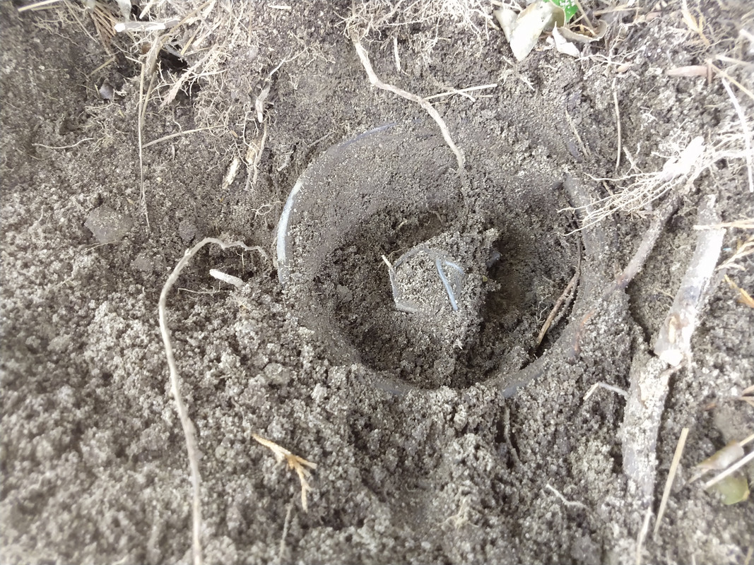 IMG_20200809_130608334