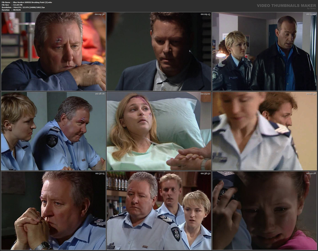 Blue Heelers S09E02 Breaking Point (2).mkv