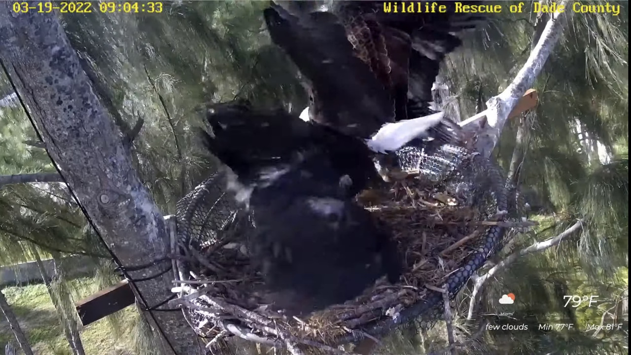 1455251A-9834-4351-85CB-8B294266B8F0