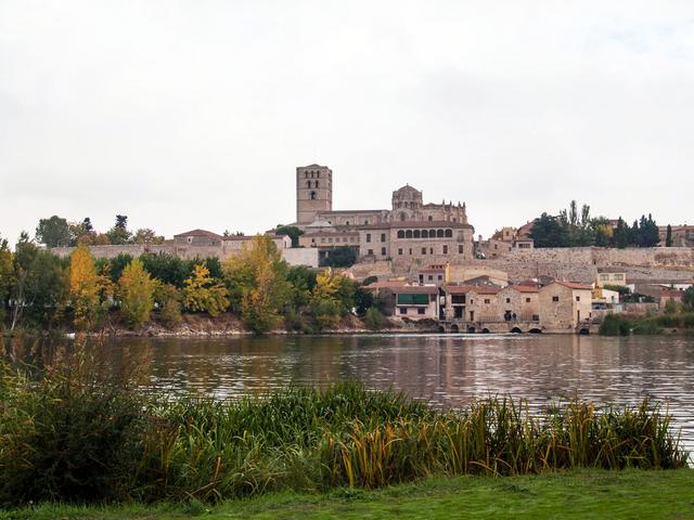 ZAMORA, TORO y "Las Edades del Hombre" - Blogs of Spain - Sábado en Zamora (36)