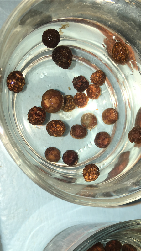 62646082-356D-4DA8-818E-07FD2E5D2AA3