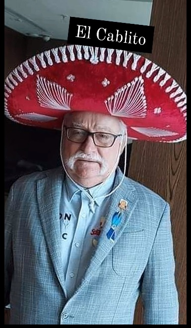 elcablito.jpg