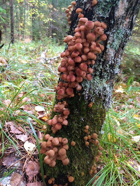 IMG_20220903_132706 (1)