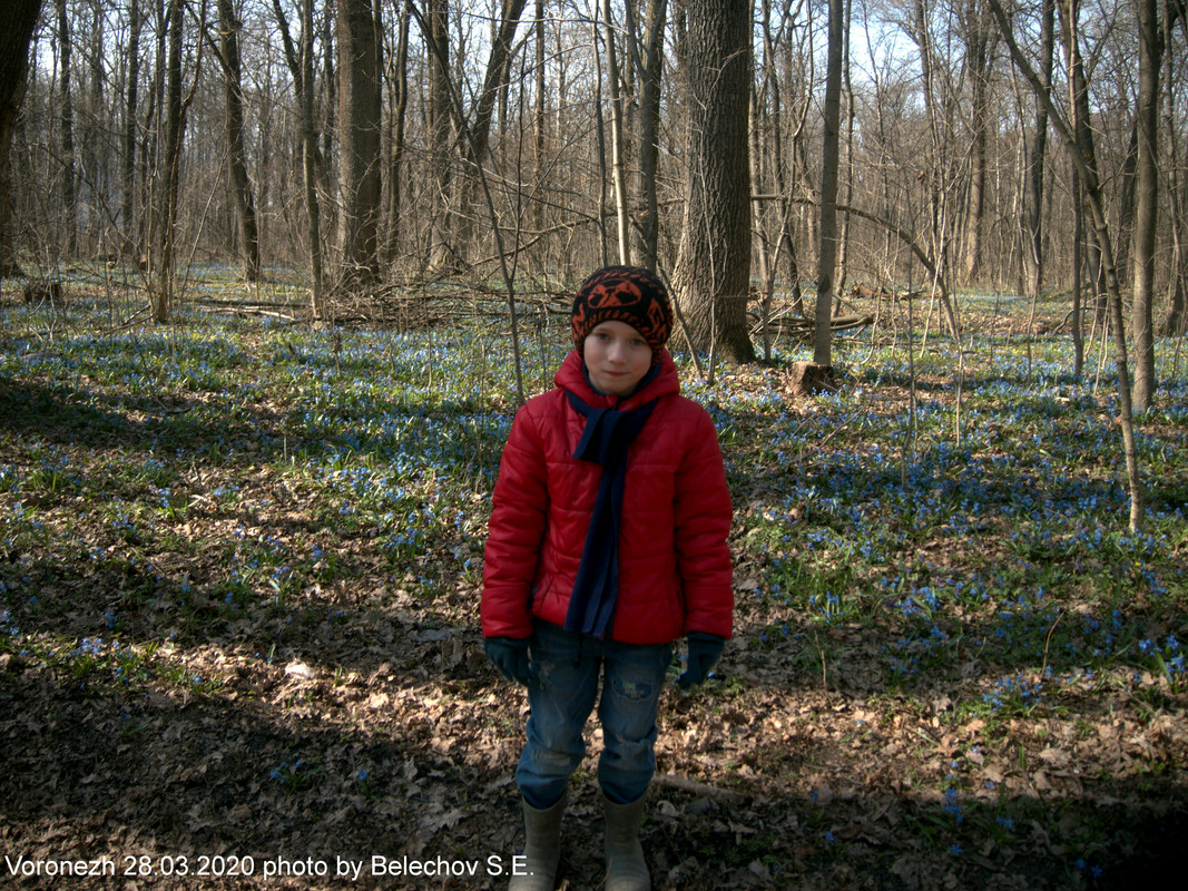 Воронеж, весна, Олимпик Воронеж, весна, Олимпик