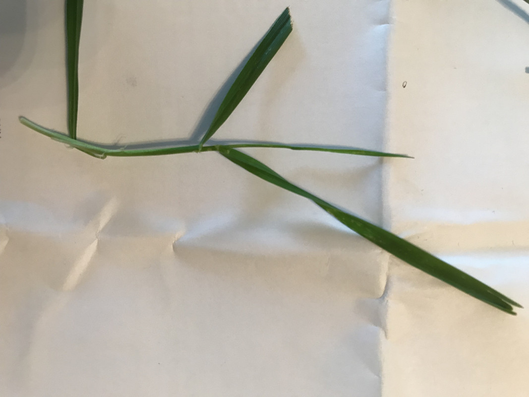 8C6FC433-2D89-48EA-8BB2-7BFFCF38CB0D