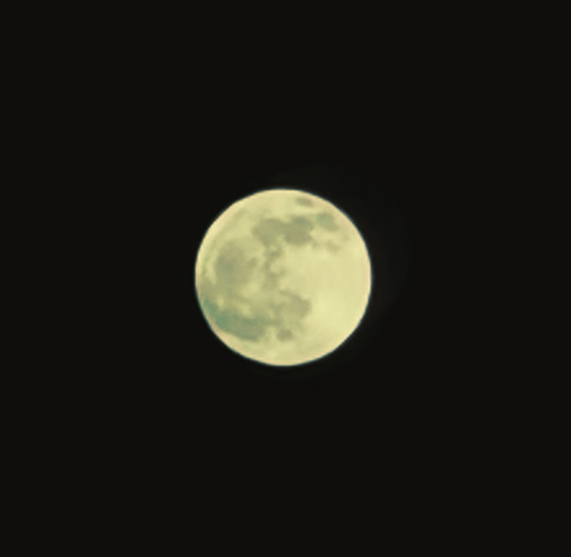 Screenshot-20201229-203229.jpg