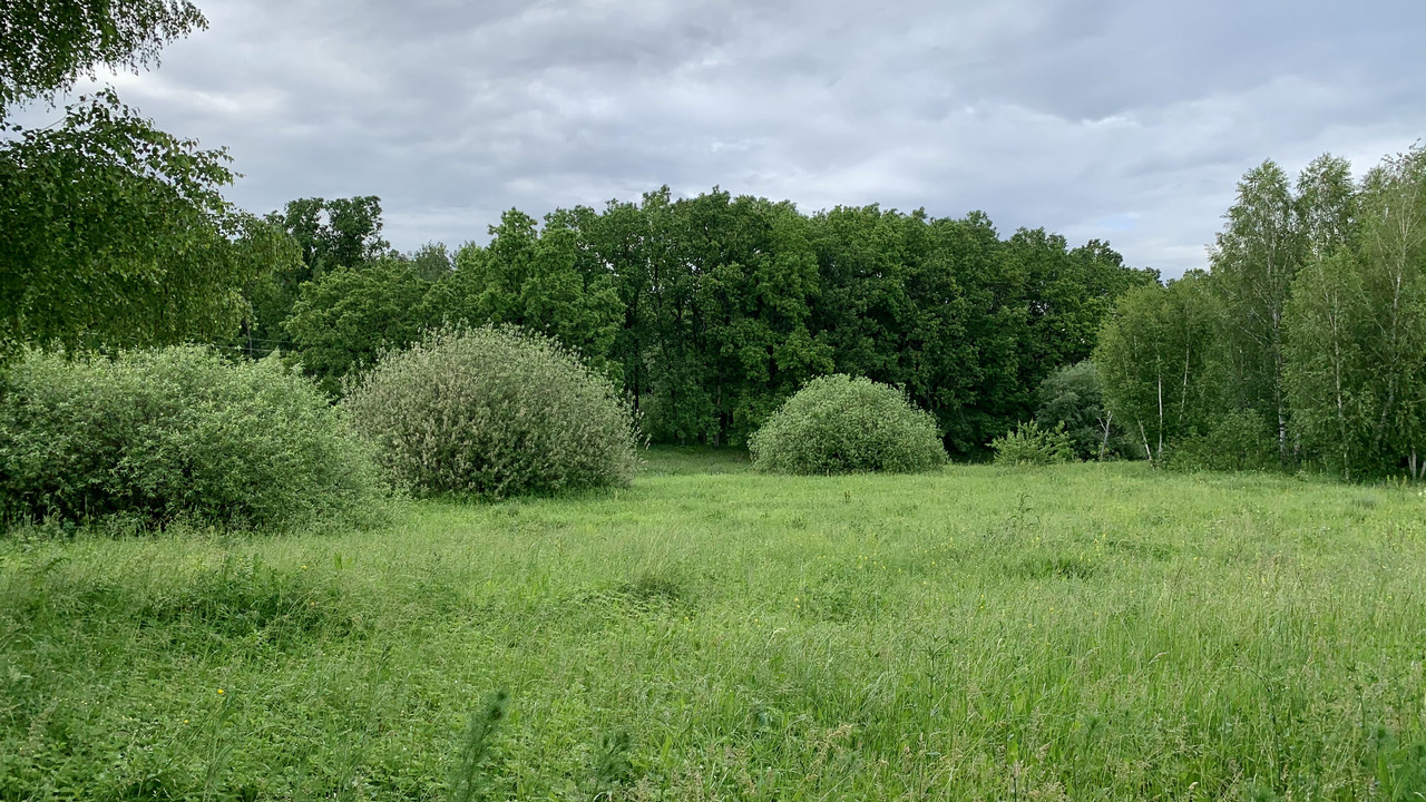 BEE9DF89-2734-4E22-9CF1-23BEB94E77AC