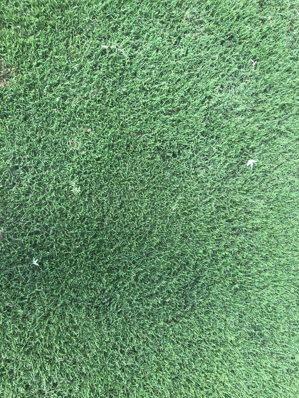 33D02988-678B-4C58-9BBA-457EF0630A99