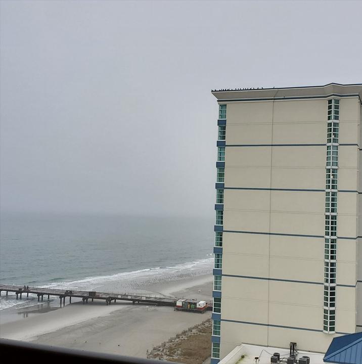 [Image: SC20251125153020Myrtle_Beach.jpg]