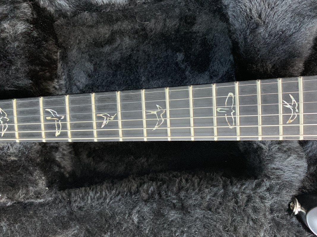 C8D9018F-0BA7-4D49-AB8F-D104F5C61D7D