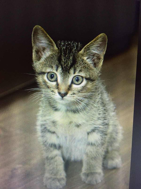 изображение_viber_2019-12-05_19-38-50