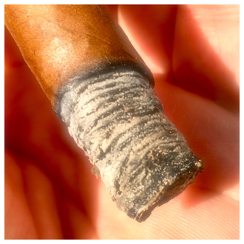 213D2129-ED16-45B8-8A8A-1FD8B7D57521