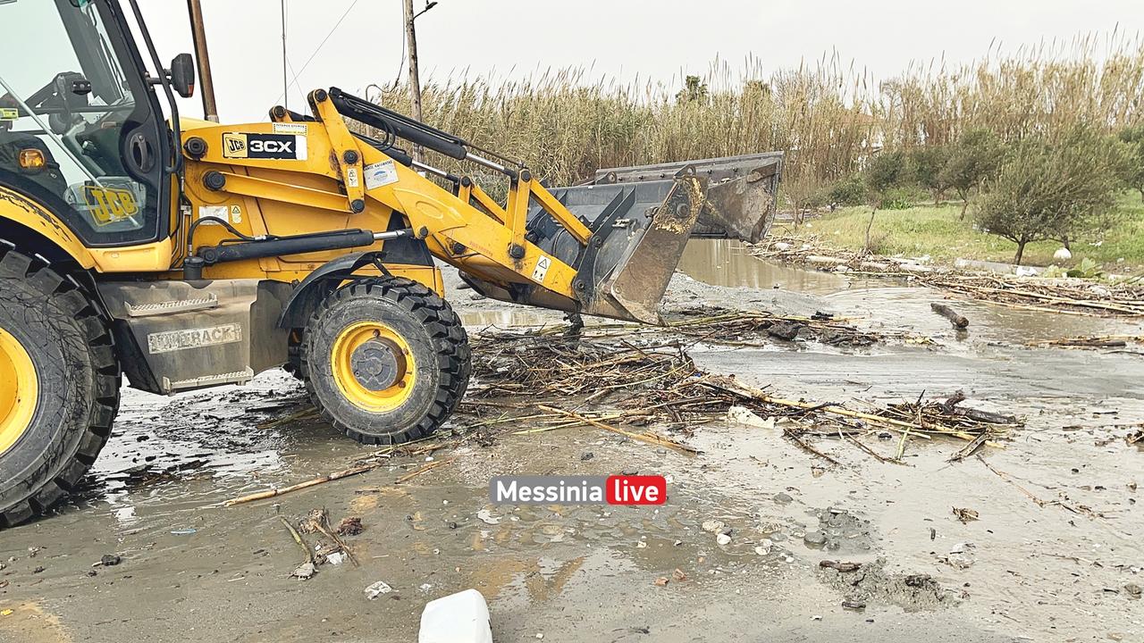 KORDIASIMG-2878