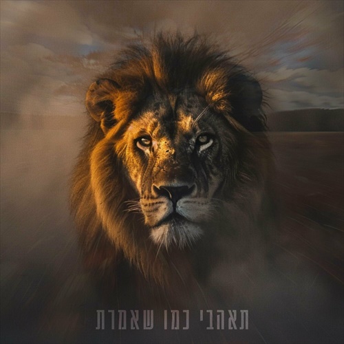 תמונה