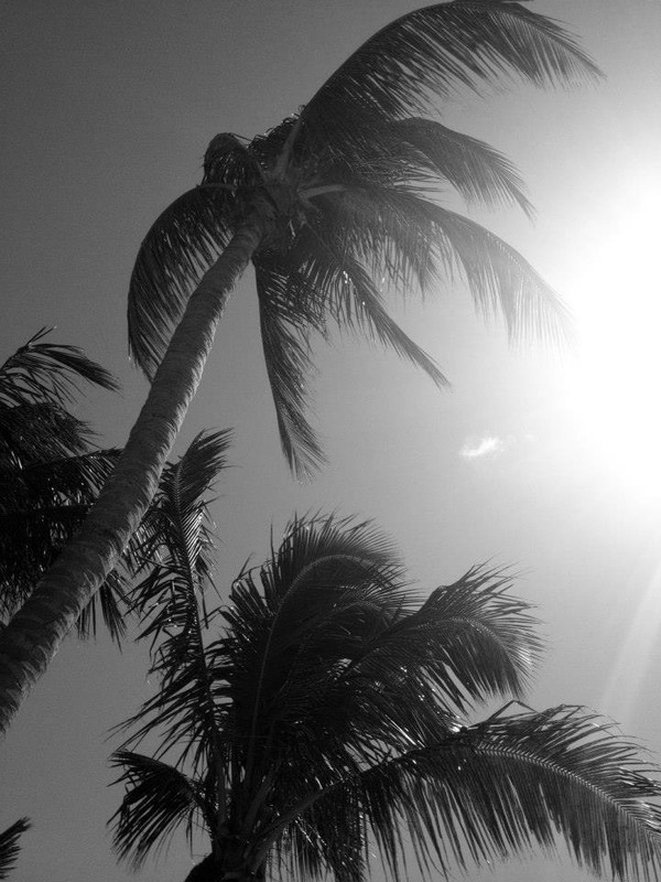 9EC64EEF-AA06-4E9C-BA6E-A3CE69B9BA2B