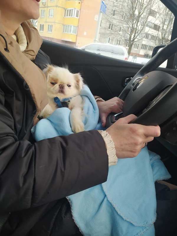 A8A6D445-1FF5-42E5-AC26-C97E5FE5EBE1