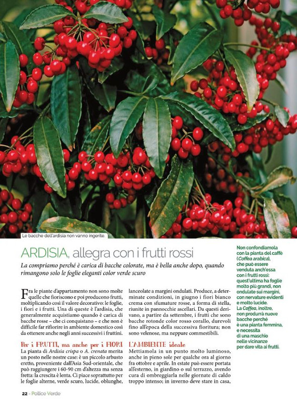 Pol Ver Ott 2021 (3)