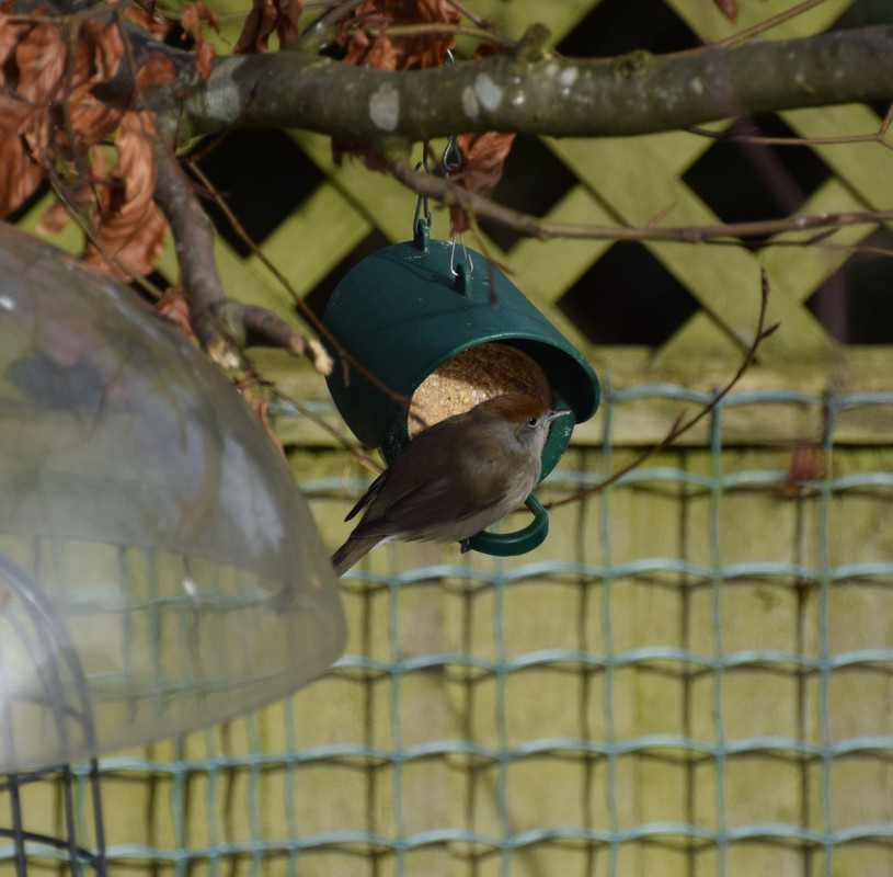 DEBD4D31-04B0-4CF0-A5F9-114703F66C81