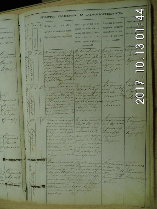 DSCI0981