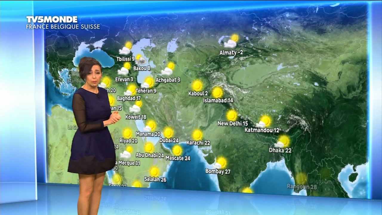 12.28 - 17.26.00 - Météo. Le bulletin météorologique international.ts_snapshot_06.49.804